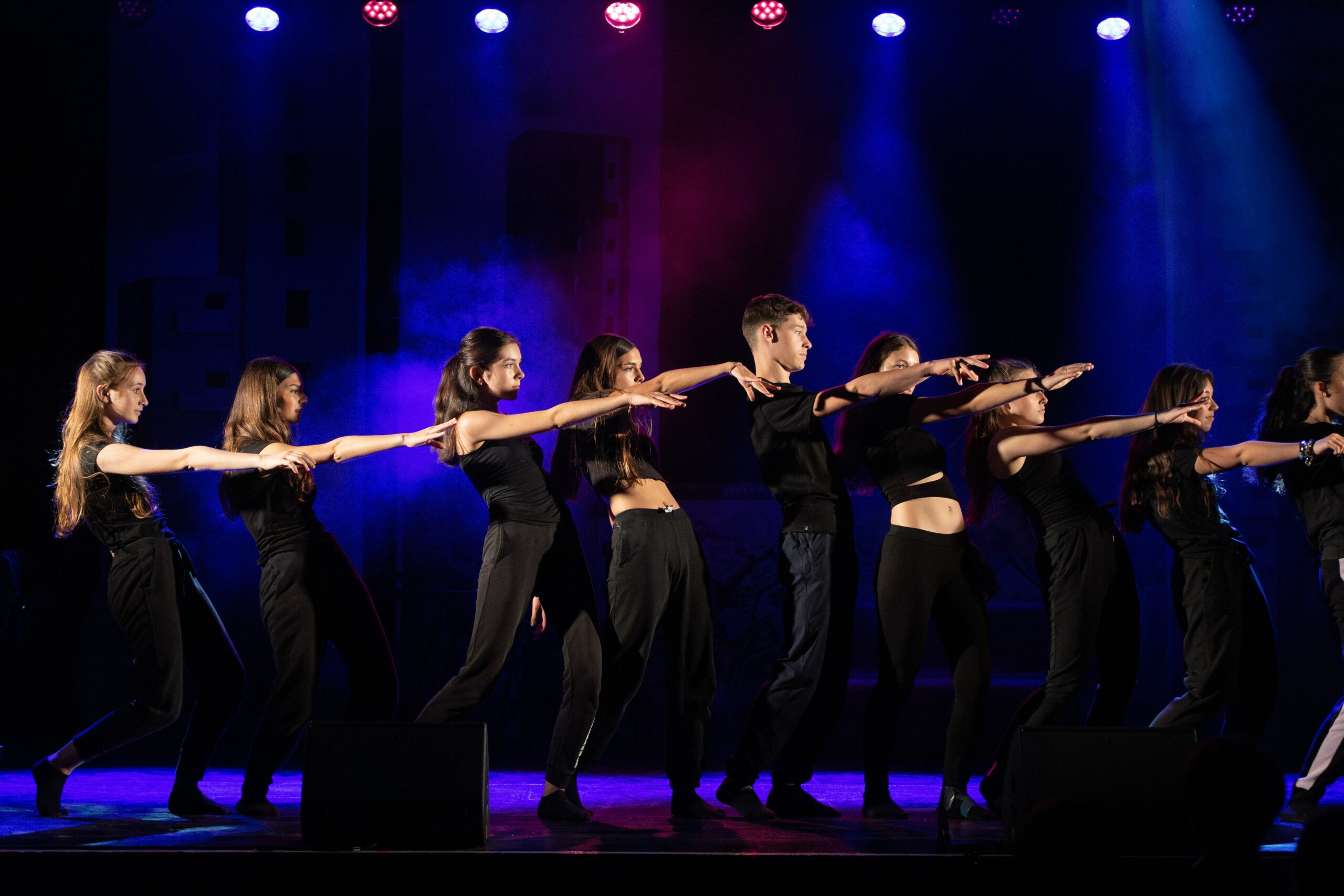 Photographie de spectacle du Lycée Anne Veaute