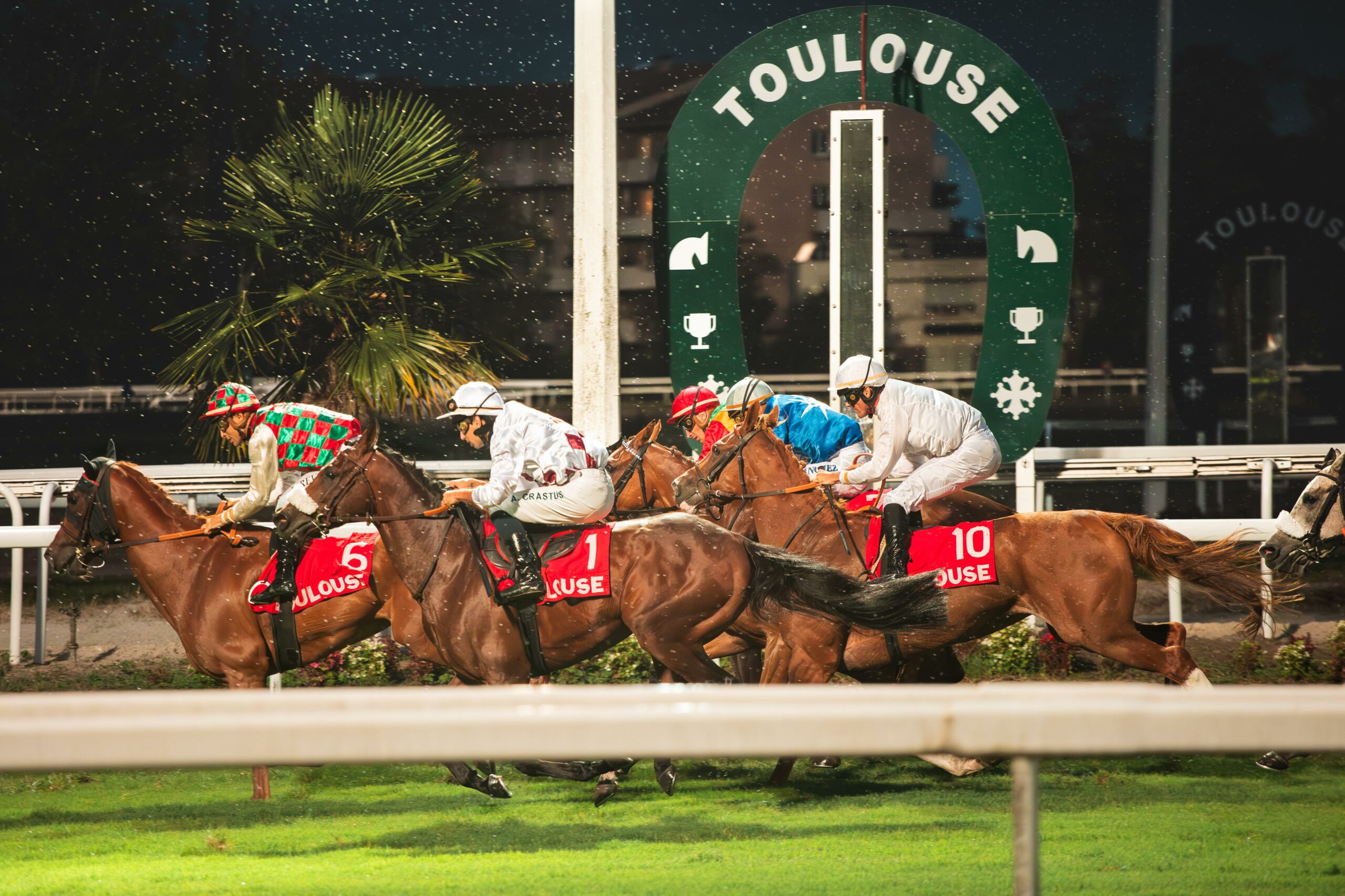 Reportage à l’Hippodrome de Toulouse