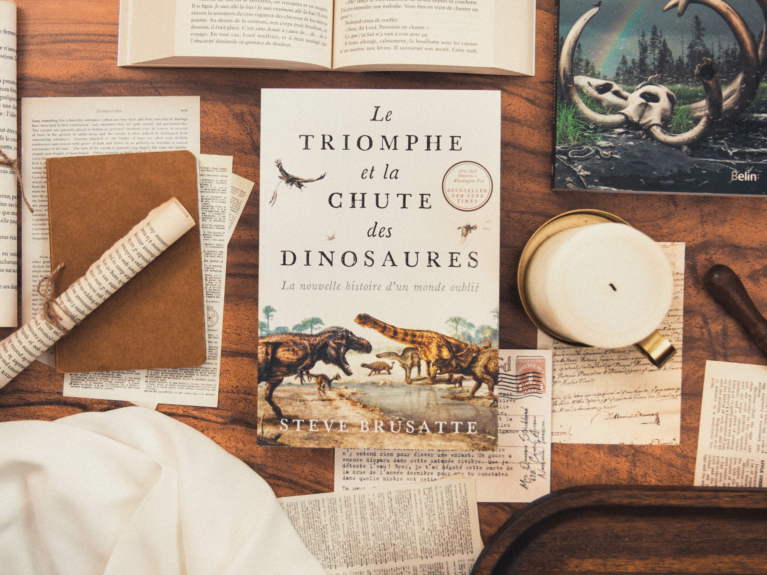 evasionlitteraire-le-triomphe-et-la-chute-des-dinosaures