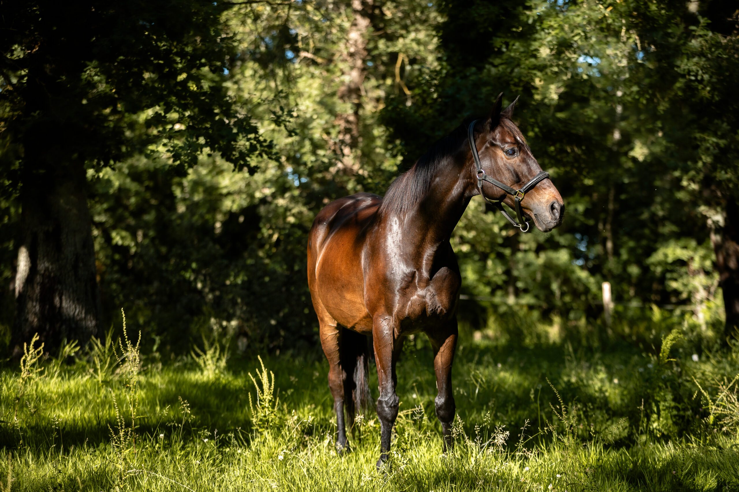 MelanieMartiPhotographie-EstelleMagnin-4